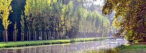 Wasserlauf im Schlosspark