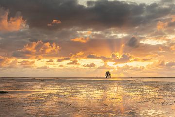 spectacle in the sky above the bird watch station on Englishman's Plate by KB Design & Photography (Karen Brouwer)