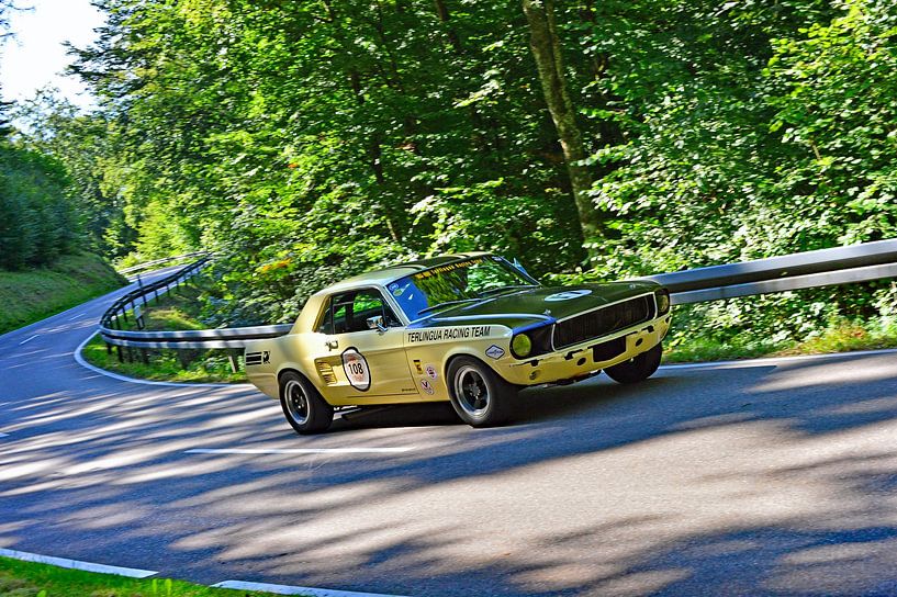 Ford Mustang Terlingua Racing Team - Start 108 - Eggberg Klassik 2025 by Ingo Laue