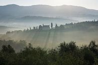 Nevelige zonsopkomst in Toscane van Anouschka Hendriks thumbnail