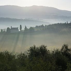 Lever de soleil brumeux en Toscane sur Anouschka Hendriks