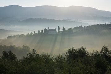 Lever de soleil brumeux en Toscane