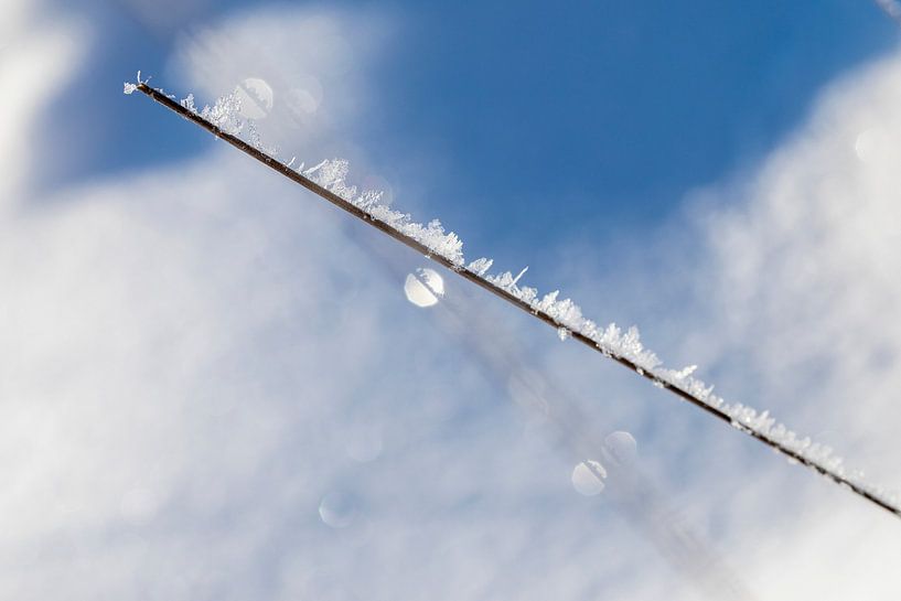 wunderbare Welt aus Eis und Schnee von Karin Hendriks Fotografie