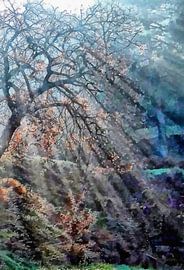 Hope Shines With The Sun by Dorothy Berry-Lound