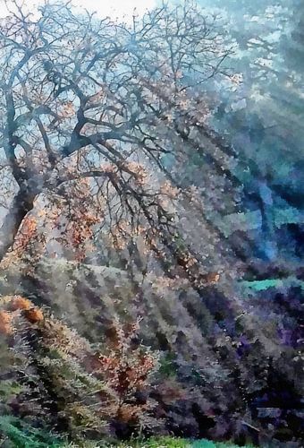 L'espoir brille avec le soleil