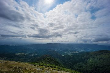 Frankreich - Endloser Wald auf Bergen von oben bei Sonnenschein von adventure-photos