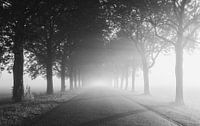 Foggy beginning