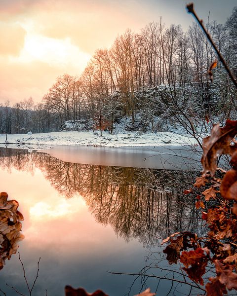 Winterzon in het meer van Joris Machholz