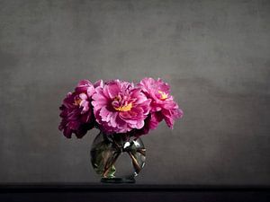 Pfingstrosen in Vase