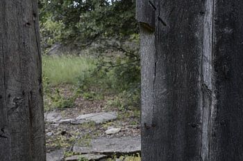 Reste eines hölzernen Gartenzauns