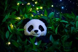 Panda pluche knuffel in het avondlicht van Poster Art Shop