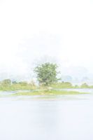 Island of silence