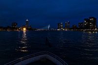 Rotterdam by night