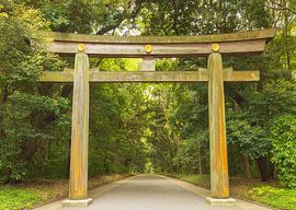 Yoyogi-Park - Tokio (Japan) von Marcel Kerdijk
