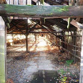 Vergane Glorie von Rudi Raeps