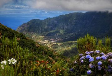 Madeira 3 van Maickel Dedeken