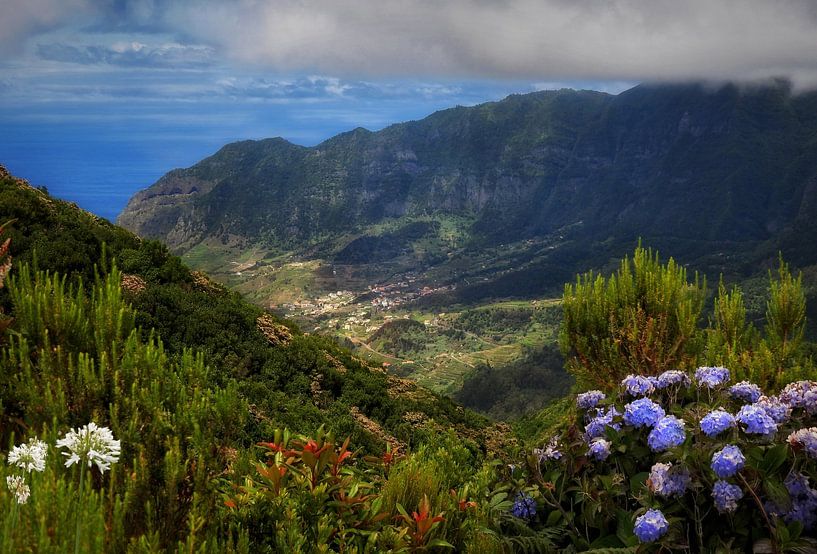 Madeira 3 by Maickel Dedeken