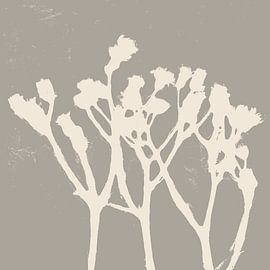 Flowers in white on light grey. Minimalist botanical art by Dina Dankers