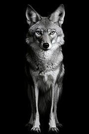 Wolf von Poster Art Shop