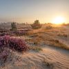 Sonnenaufgang bei Bald Dunes von Dirk Jan ter Harkel