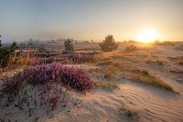 Sonnenaufgang bei Bald Dunes von Dirk Jan ter Harkel