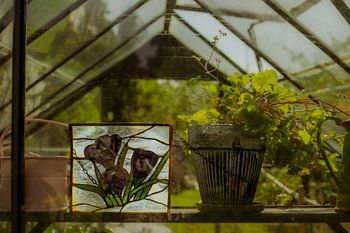 Nature morte de serre – vitrail & plante en pot | art mural botanique