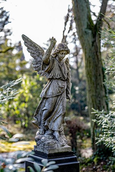 My last companion by Thomas Riess