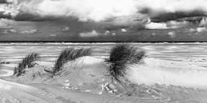 Strand von Terschelling von Martien Hoogebeen Fotografie