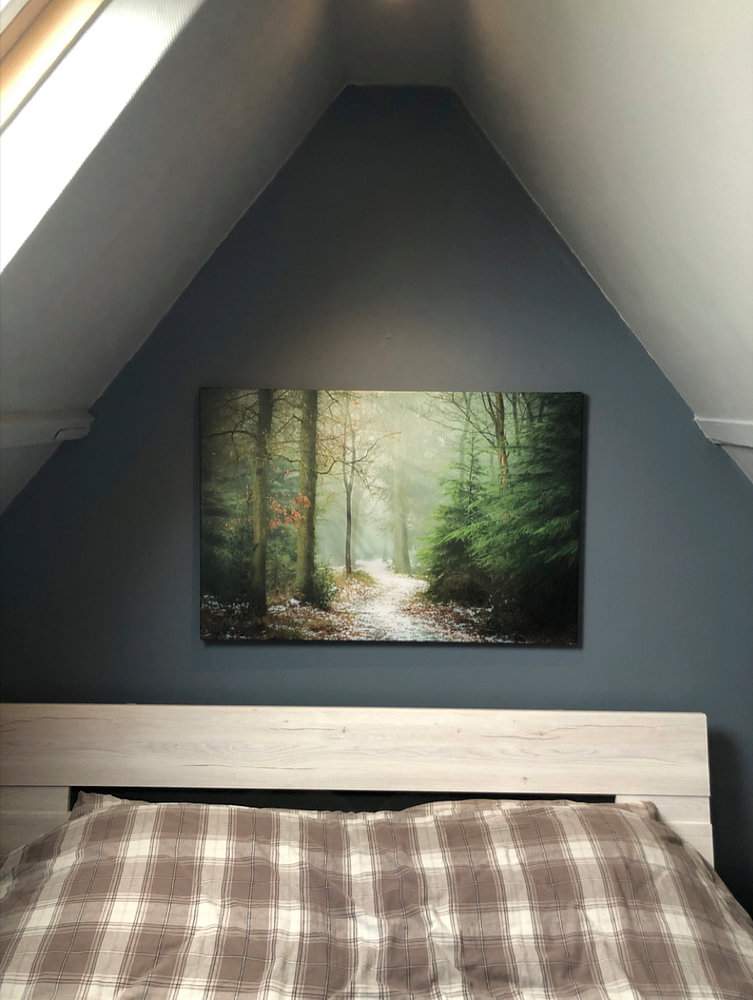 Through the Pines