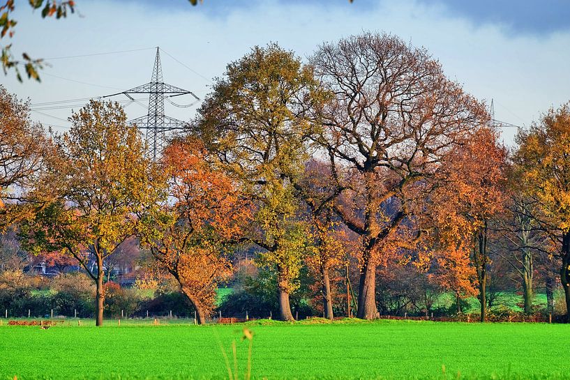 Pays d'automne par Edgar Schermaul