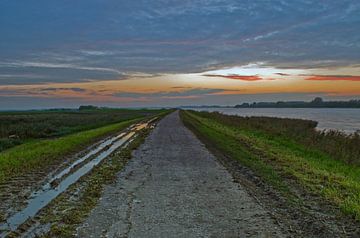 Der Weg zum Licht... von Petra Vastenburg