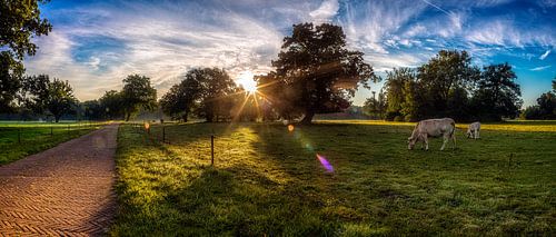Landschap - landgoed Twickel