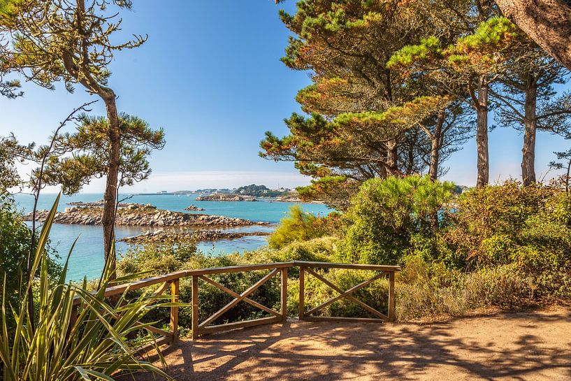 Jardin Exotique on the Ile de Batz, Brittany by Christian Müringer