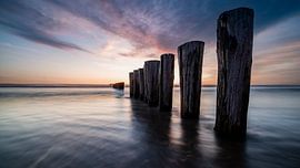 Wooden posts at sunset — Bergen aan Zee by Sjon de Mol