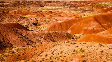 Kleurrijke heuvels en beschilderde woestijn in het versteende woud nationaal park in Arizona USA van Dieter Walther