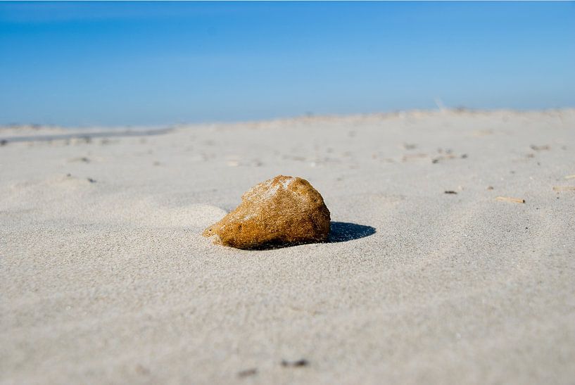 Omgevingsfotos par Floris de Groot