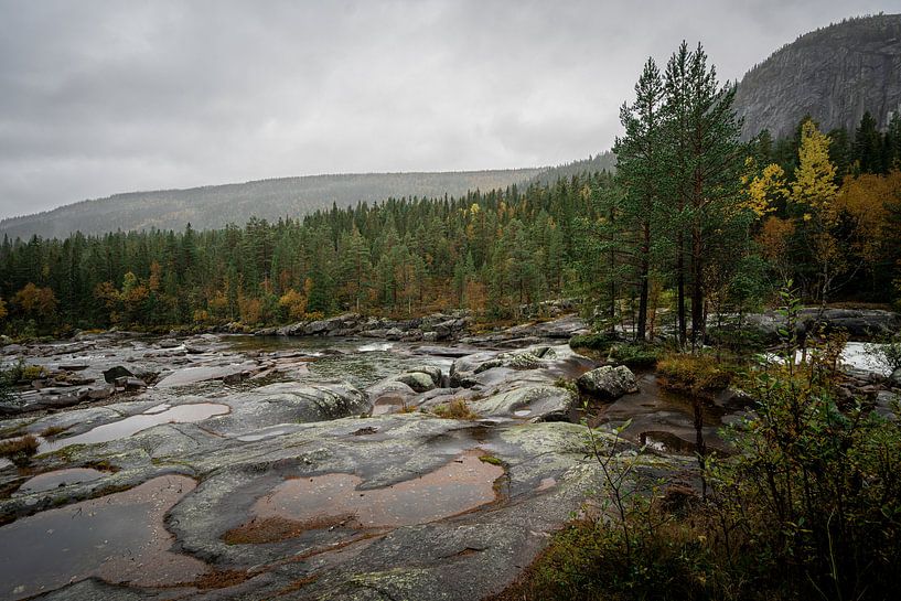 Laag staande rivier en bos in Noorwegen van Mickéle Godderis