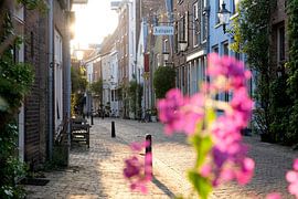 Abendlicht in der Walstraat in Deventer