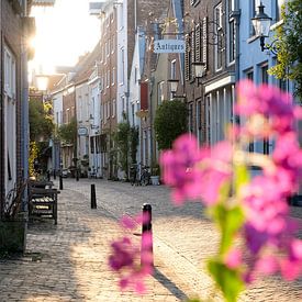 Lumière du soir dans la Walstraat à Deventer sur Framed by Elisabeth