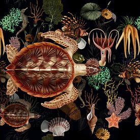 Deep Sea by Marja van den Hurk