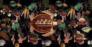 Deep Sea by Marja van den Hurk