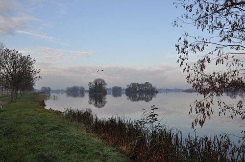 Reeuwijkse Plassen