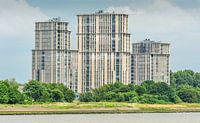 Niederländische Architektur entlang der Maas in Rotterdam von Hamperium Photography Miniaturansicht