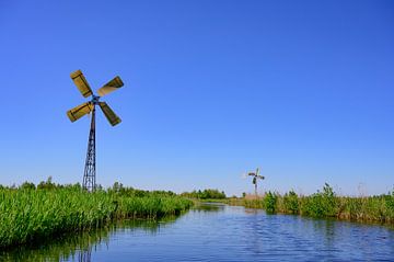 Weerribben-Wieden natuurgebied in Overijssel van Sjoerd van der Wal