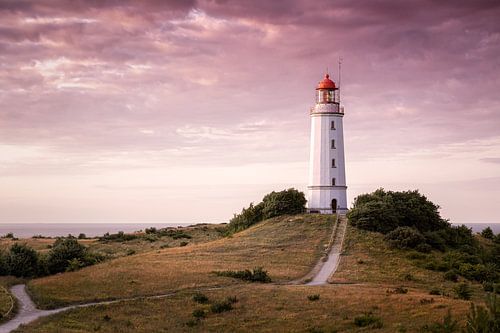 Sunset at the thornbush
