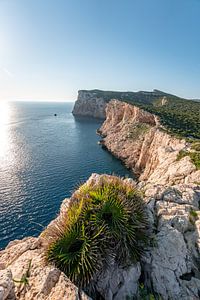 Sonnenstrahlen an den Klippen Sardiniens am Parco Naturale Di Porto Conte