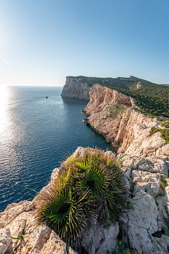 Zonnestralen op de kliffen van Sardinië in het Parco Naturale Di Porto Conte