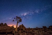 Starry skies in Namibia