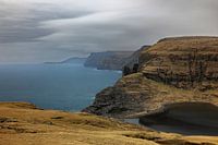 Trælanípa