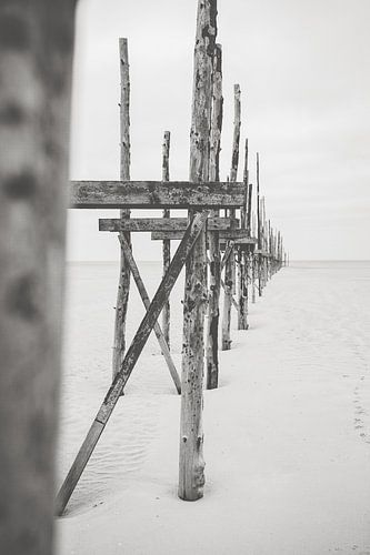 Beach setting in black and white